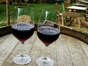 Bacchus festival glas met rode wijn